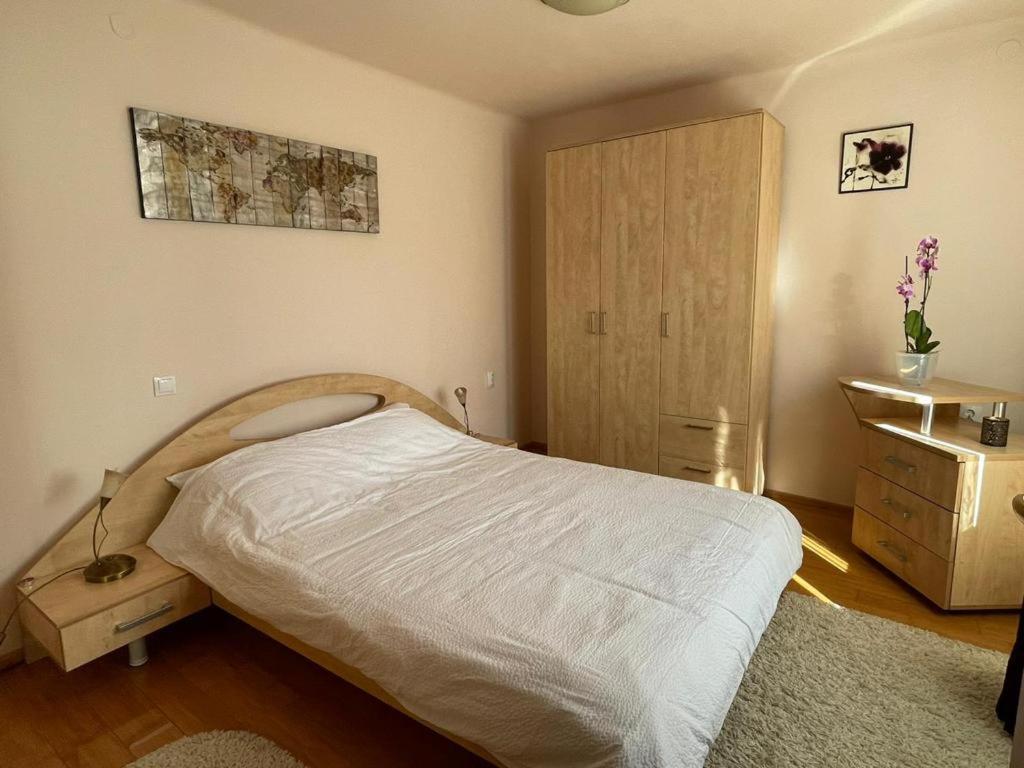 Apartament Winterland Sf.Ioan Braszów Zewnętrze zdjęcie